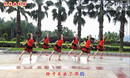 李姐广场舞 小苹果 团队演示(附高清教学版)