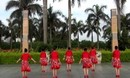 紫玫瑰广场舞 欢乐的海洋 含背面演示