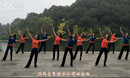张春丽广场舞 醉乡 编舞廖弟 精品广场舞蹈