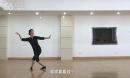 李琦广场舞 蝶儿飞(李冀雪老师舞蹈)正面动作演示 专业广场舞教学