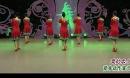 杨艺廖弟张春丽广场舞 家乡 背面动作演示 2014创意广场舞蹈