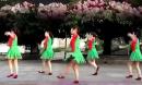 紫紫雨广场舞 爱你就让你快乐 2015最新广场舞