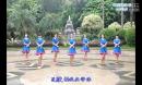 花开有声广场舞 欢腾的高原 编舞応子 高清视频