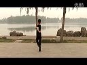  ̫���������ѧ��Ҷ��ѧ���Ż�Ƽ�赸