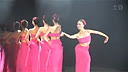 赸 ѧϵ2008