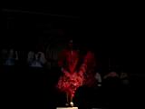 Flamenco Dance(Ÿ).