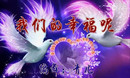 �γǹ㳡�� ׿׿�� 2014�㳡������