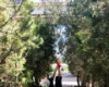 我的相册